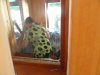 горничная , с 8- 16-00 каждый день под окном 