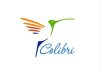 Рекламное Агентство Colibri